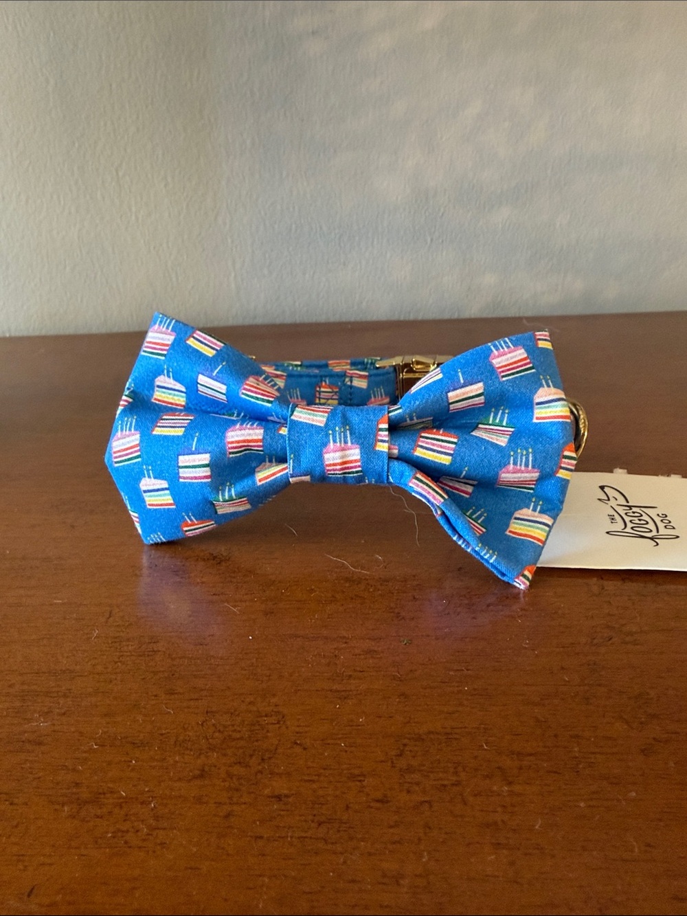 The Foggy Dog, Dog Collar Blue Birthday Cake Bow Tie Collar Sz XS